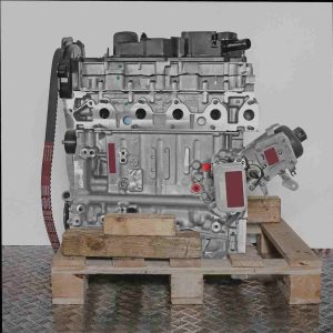 Seitenansicht des Motors B 16 DTH (DV6FC) auf einer Holzpalette vor weißem Hintergrund. Alle wichtigen Motorkomponenten wie Motorblock, Zylinderköpfe und Ölwanne sind deutlich sichtbar.